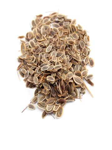  DILL SEEDS – SUVA