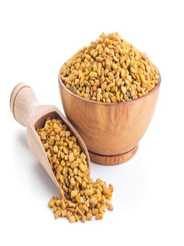  FENUGREEK SEED