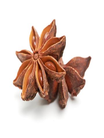 STAR-ANISE