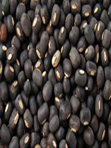 Urad Whole Black