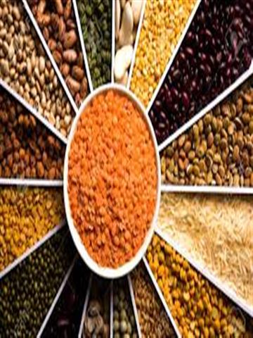 Indian Grains