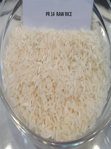 PR-14 Raw Rice